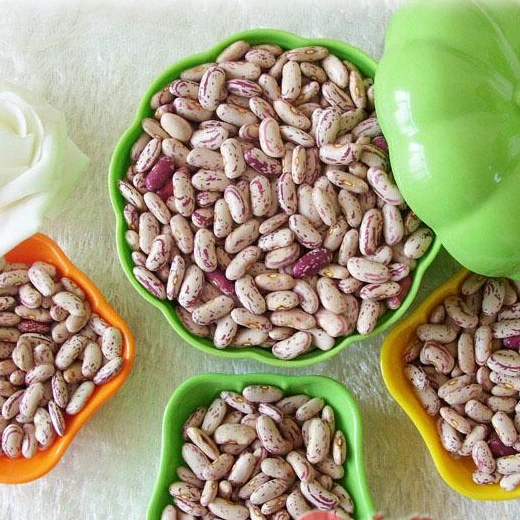 LSKB /Light Speckled Kidney Beans /Pinto Beans/Sugar Beans