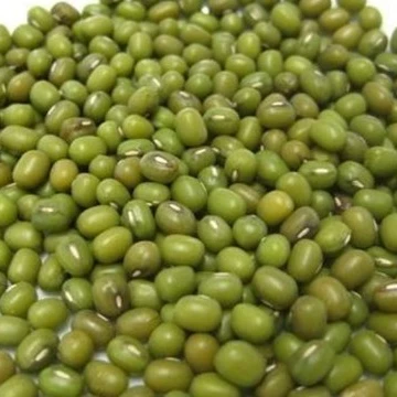 Украинские натуральные зеленые бобы мунг высокого сорта