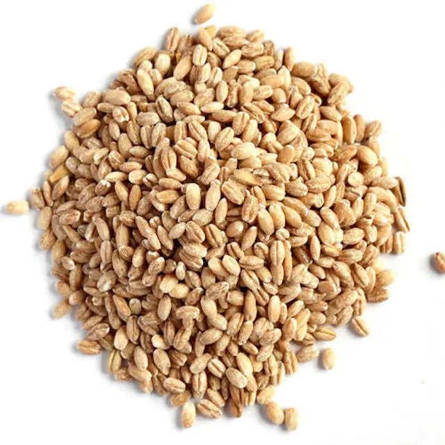 
Barley Grains Premium Barley Seeds/Animal feed barley/bulk barley grains Malted Barley Malt grain for sale Top Grade 