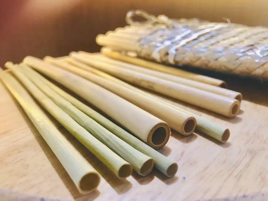  Wholesale Eco-friendly Bamboo Straws for Drinks With Carved