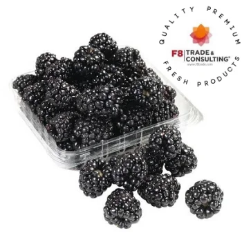 
Fresh Blackberries 