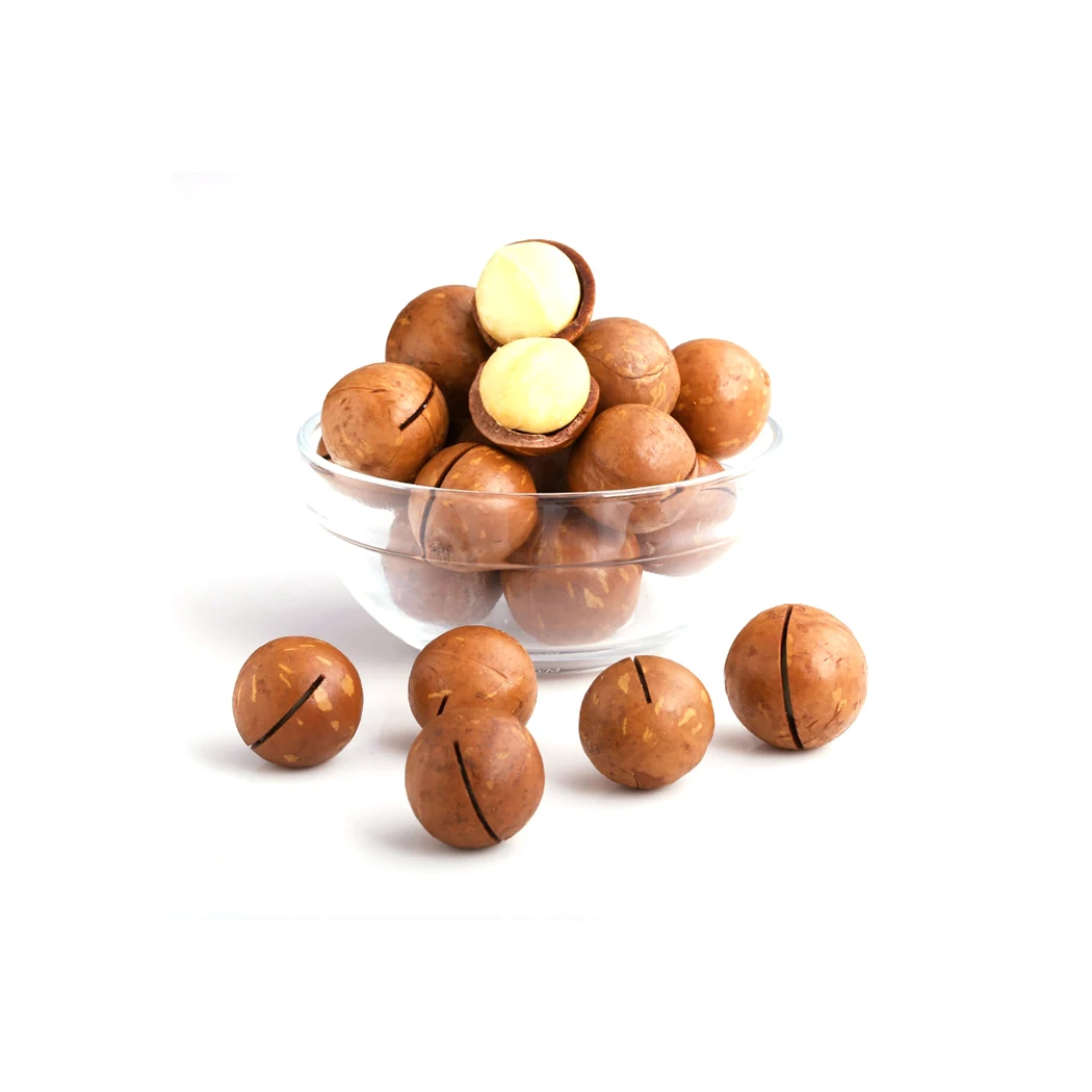 Wholesale high quality macca nuts organic macadamia nut dries with medium size Viet Nam manufacturing