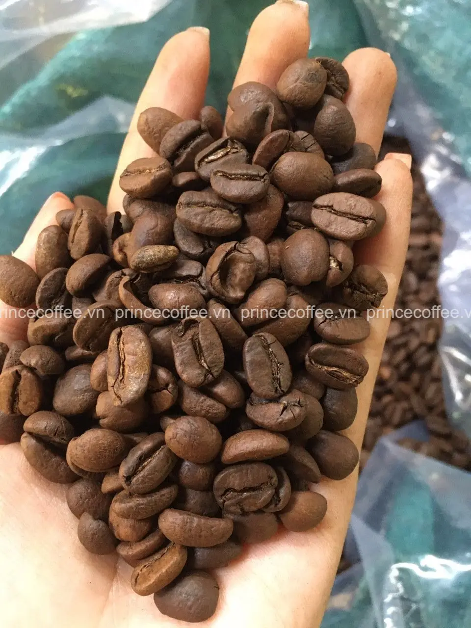  18 scr Robusta Arabica кофейные жареные зерна оптовая цена вьетнамская смесь жареных кофейных