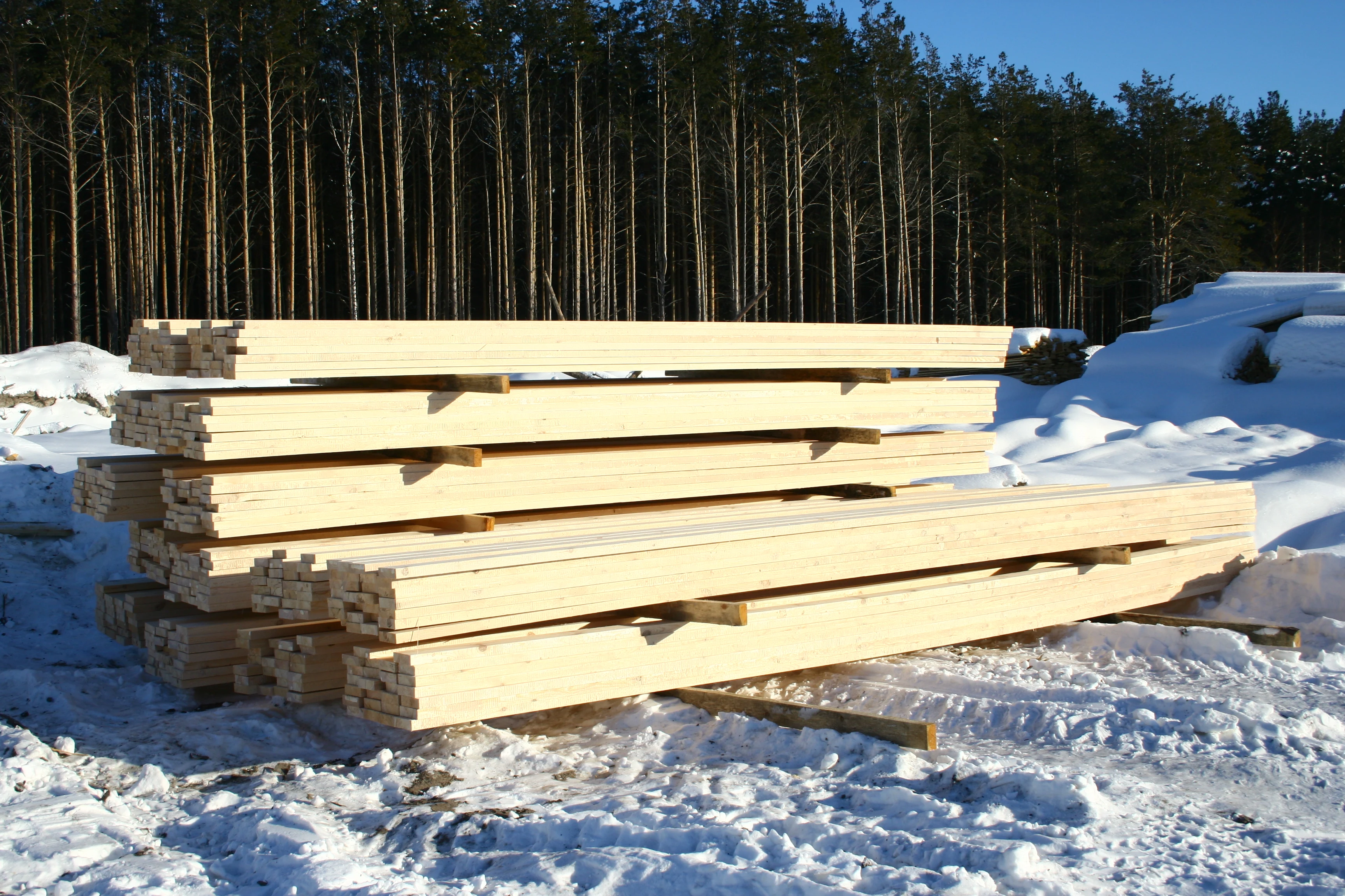 Pine Birch Aspen Lumber Wood Timber