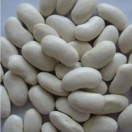 
Lima beans 
