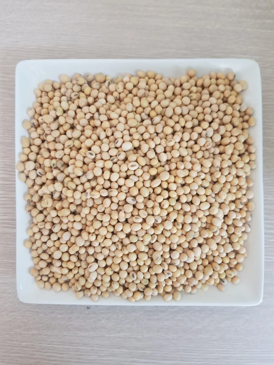 
Soybeans Good Quality Wholesale Natural Soya Beans 