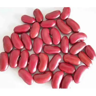 Красная фасоль pinto beans sugar