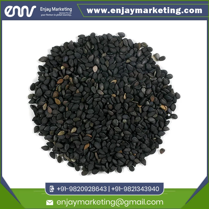100% Good Quality Best Black Sesame at Wholesale Price