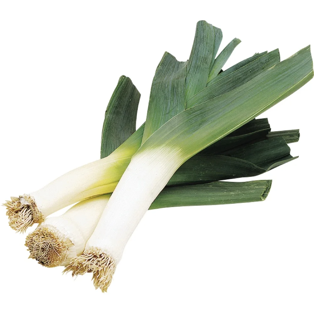 Обычные свежие овощи, пружинный лук