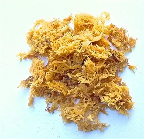 Конкурентоспособная цена-100% WILDCRAFTEDSEA MOSS-супер морские водоросли для здоровья из вьетнама/мисс Триш + 84984696874