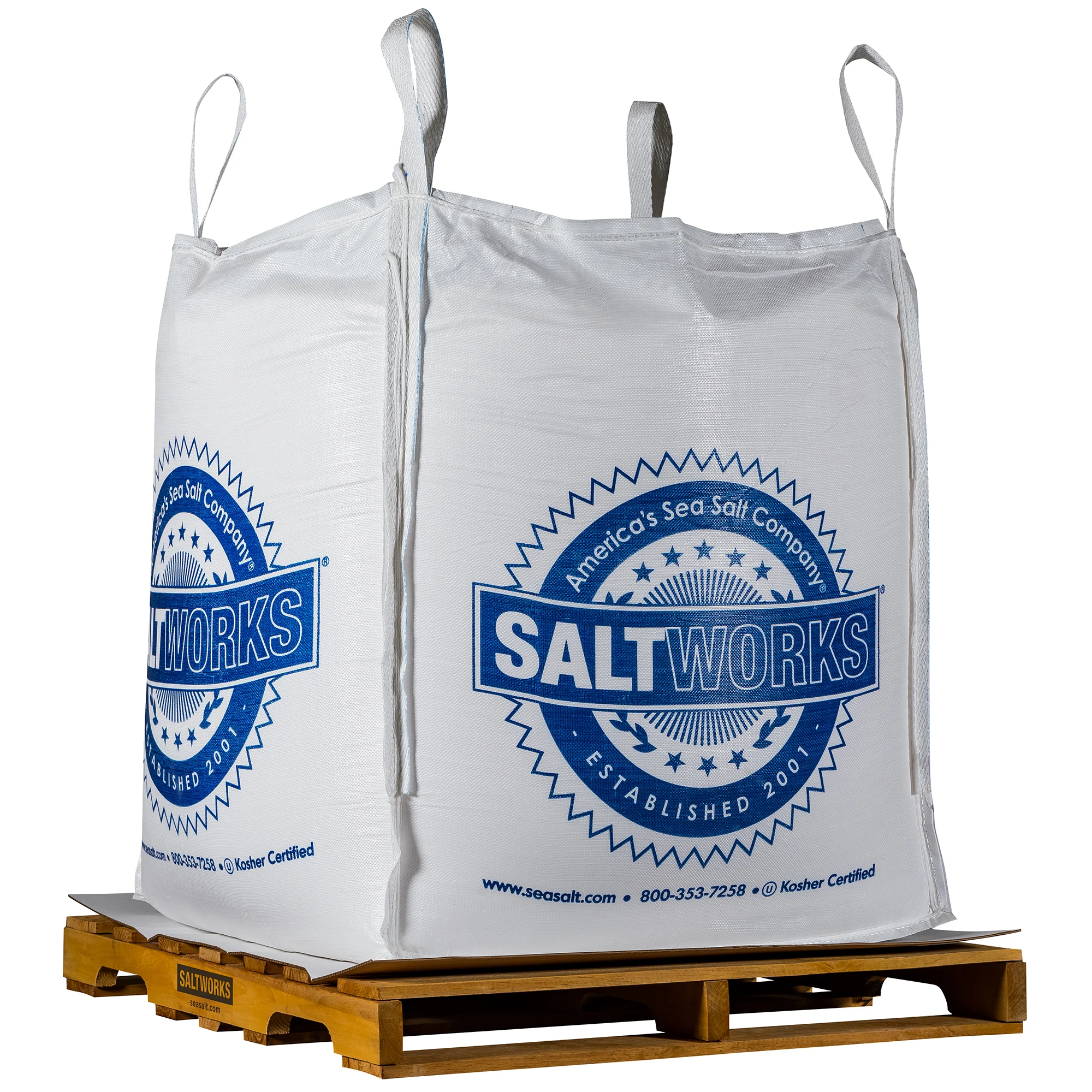 SaltWorks Pure Ocean Premium Sea Salt, Bulk Gourmet Salt