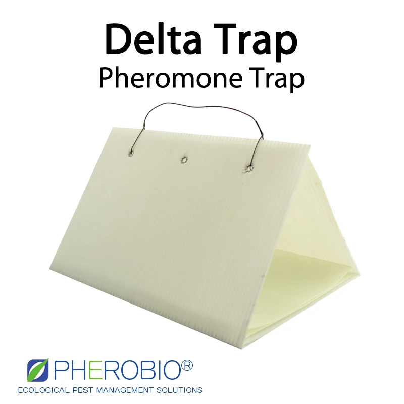 Желтая персиковая приманка-ловушка для феромонов