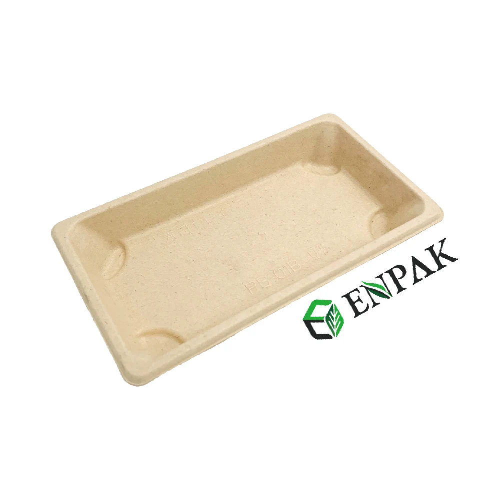 Biodegradable Sustainable Sugarcane Disposable bagasse food container