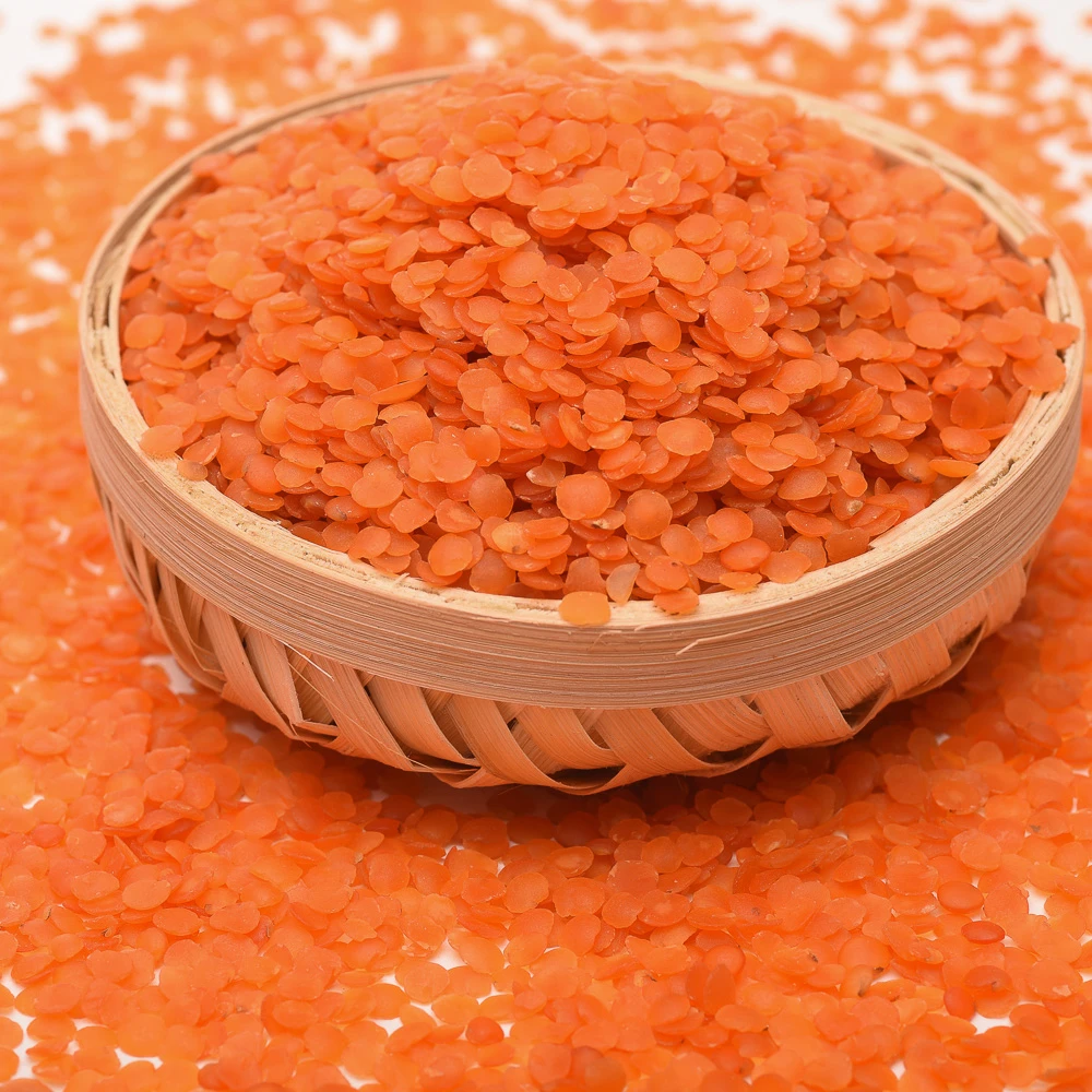 Canadian Lentils/ Red Lentils Wholesale