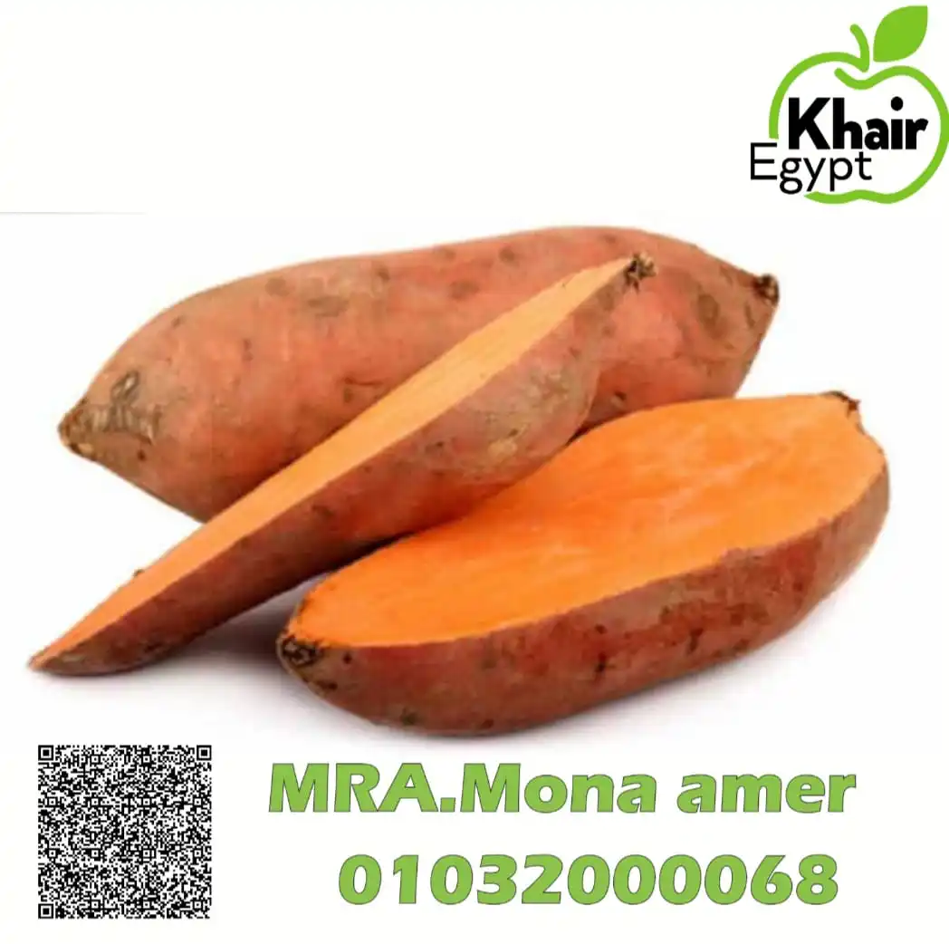 100%  High Quality Exclusive Fresh SWEET POTATOES available for export at a Cheaper Price