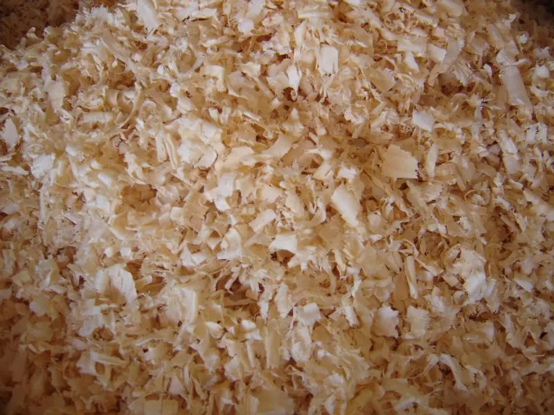 Wholesale Natural Wood Shavings for Animal Bedding/wood shavings(cattle bedding)
