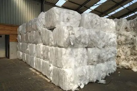  LDPE