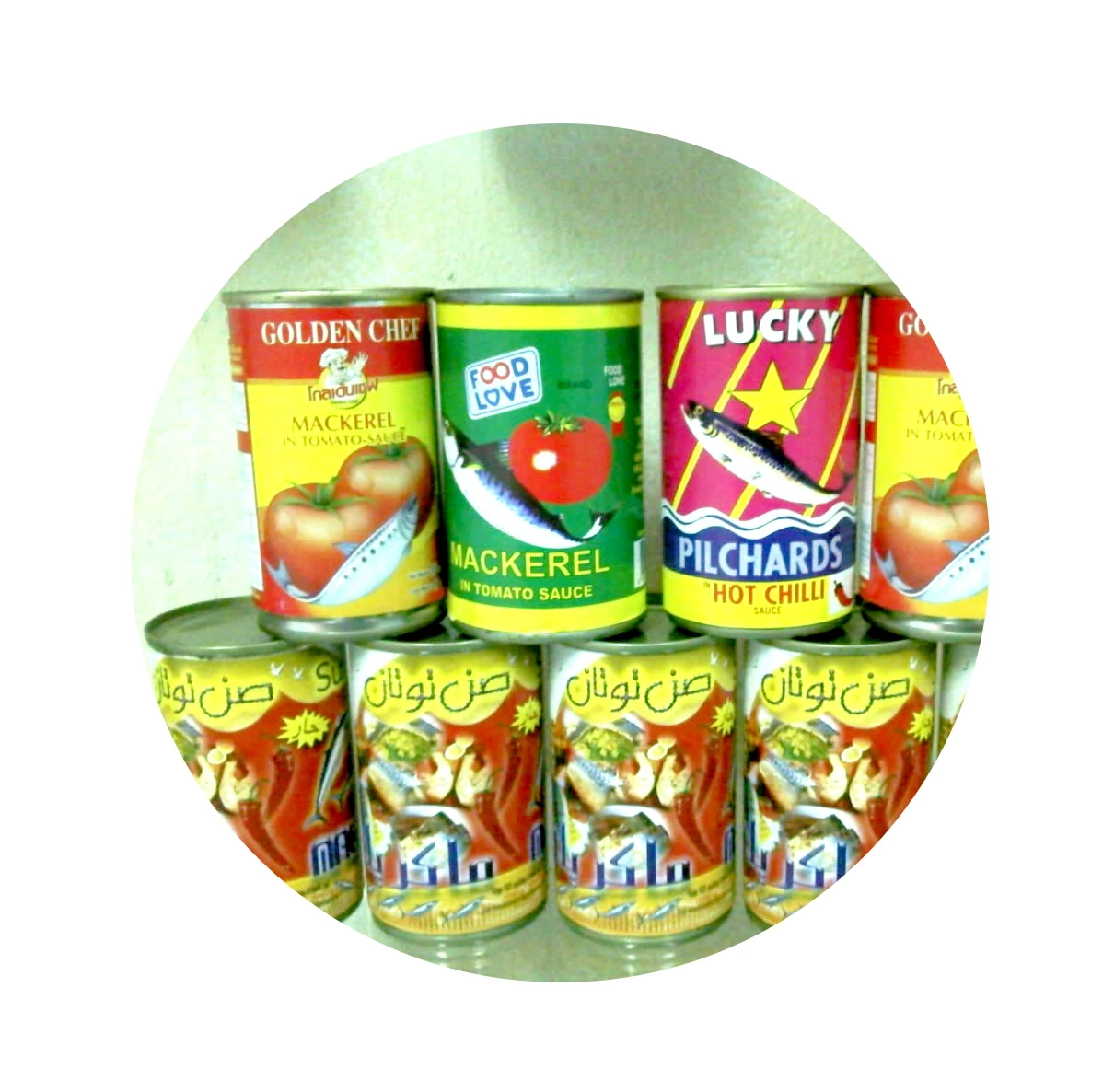 Canned sardine Canned Mackerel