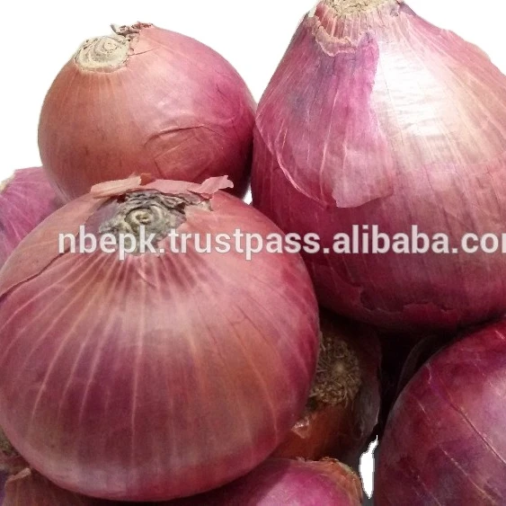  Свежий красный лук из Пакистана (предприятия Naqshbandi)