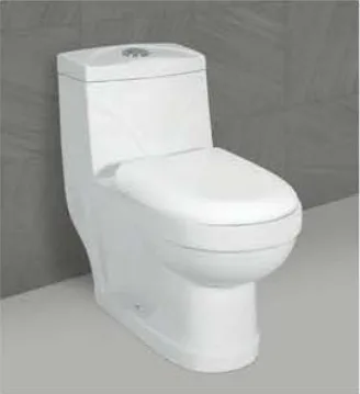 Ceramic One Piece Toilet Water Closet Top Quality White Modern Ceramic Toilet WC White Color Floor Mounted Siphon Flushing 220mm