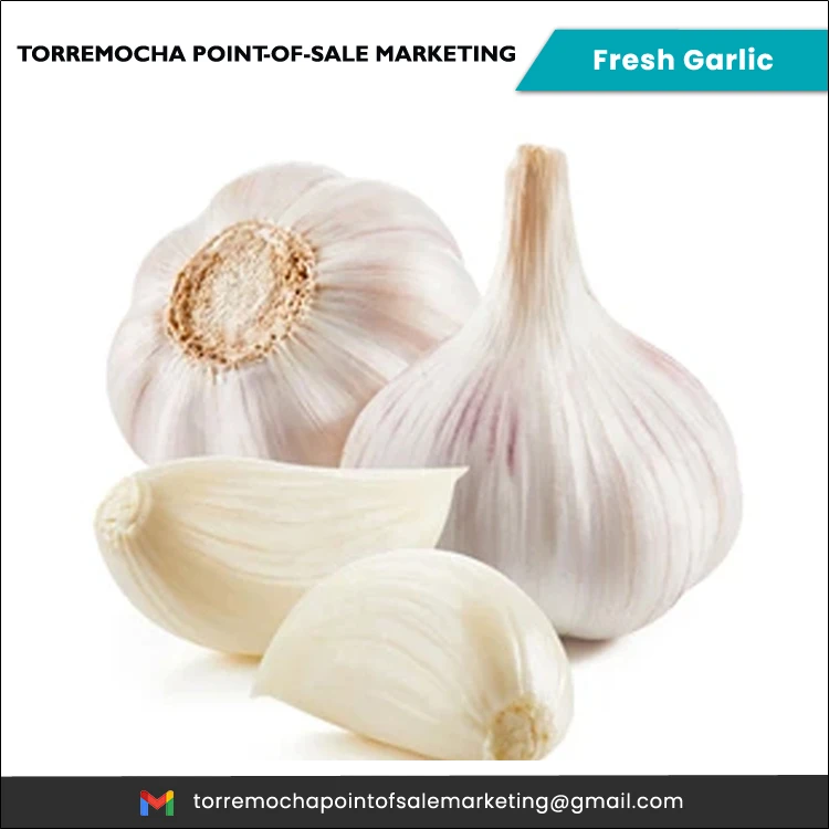 Healthy Natural New Crop Pure Natural Organic Fresh Philippines White Garlic at Least Price