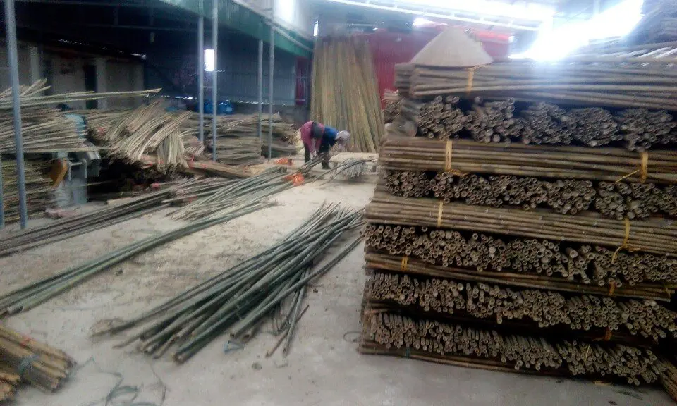 Eco-friendly Solid Bamboo Pole For Construction And Gardening From Vietnam