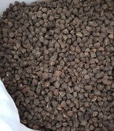 
Natural Moringa Seed - Non-GMO 