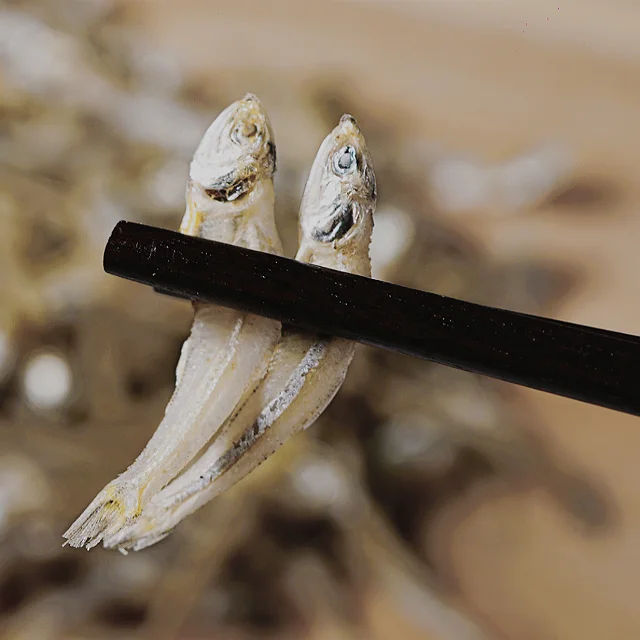 Dried Lizard Fish - Seafood