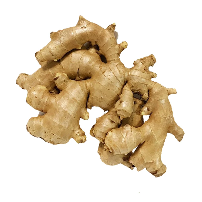 Premium Quality New Arrival Fresh Ginger Packing For 10 kg Box Hot Sealing From Thailand And Feet For Europe/Pakistan Market