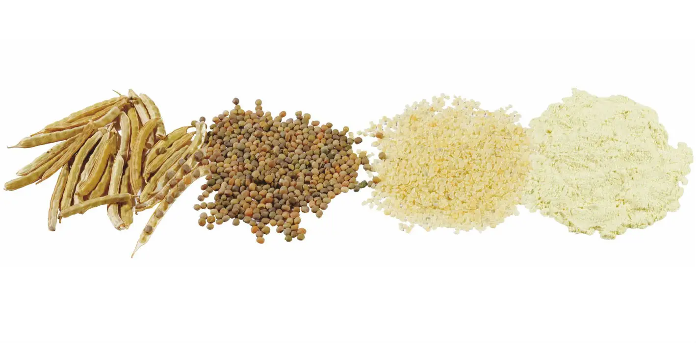 Guar Gum Meal- Animal feed