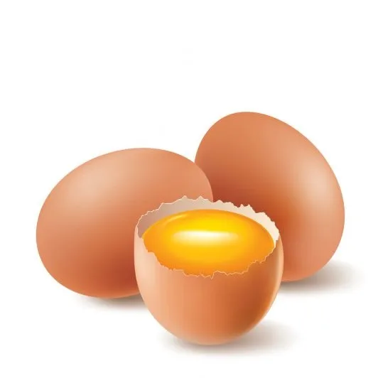 FRESH TABLE CHICKEN EGGS HALAL TOP GRADE