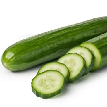 Fresh Best Quality Cucumber