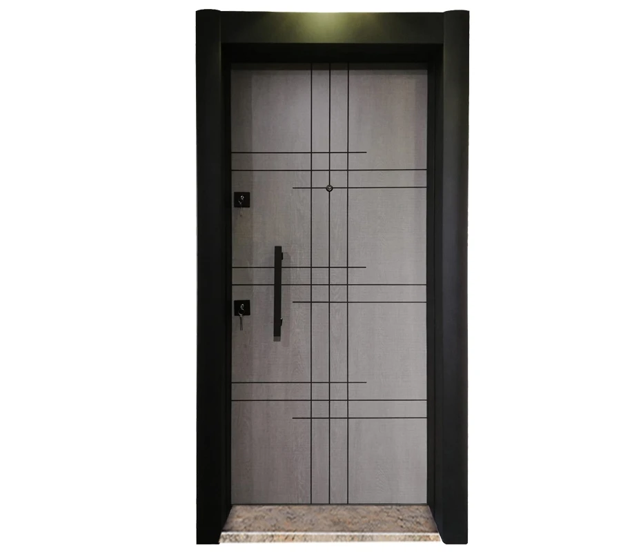 Flat Model Economic Flat Door with Static Frame Steel door