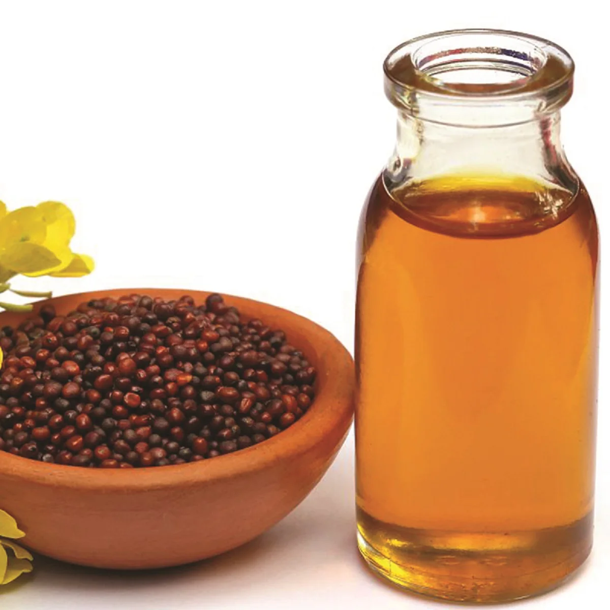 Best Quality Organic Refined Mustard Oil in a Wholesale Price