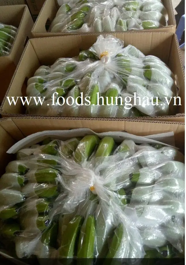 FRESH CAVENDISH BANANA FROM VIETNAM - BEST PRICE