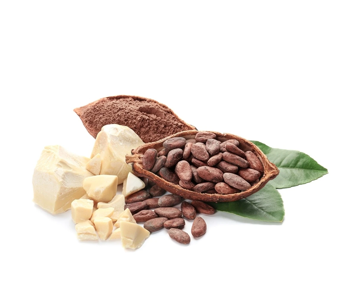 Organic Cacao Butter 100% Cocoa Bio, Natural and Pure for Wholesale