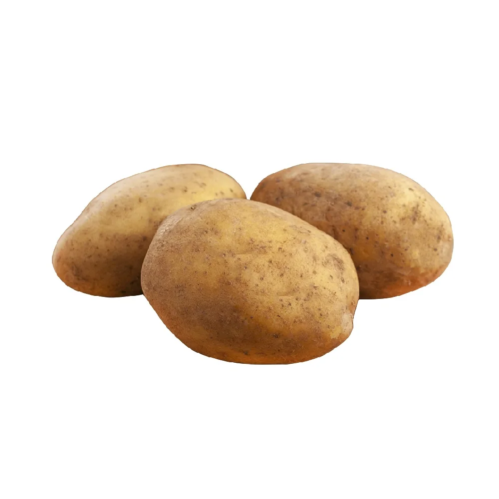 New Crop %100 Organic Patatoes Big Potatoes Perfect Quality Fresh Potatoes - Made in Turkey