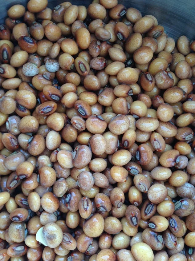 Best quality  Dried / Green Pigeon Peas from Peru