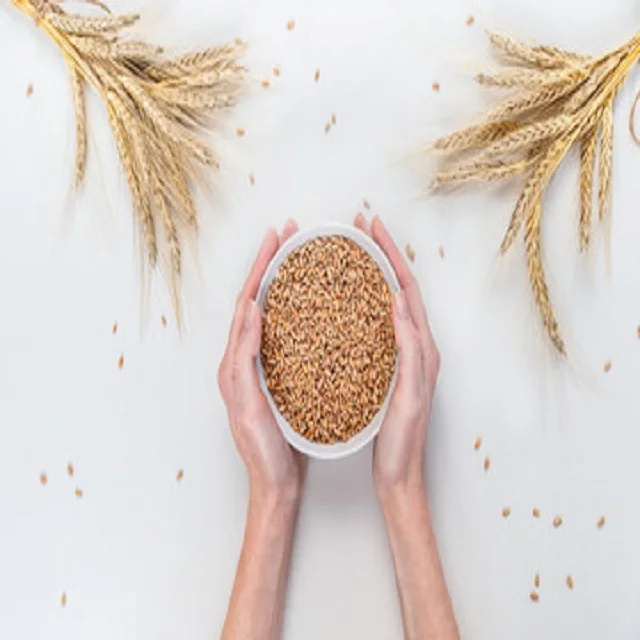 
Premium quality Rye grains for sale 