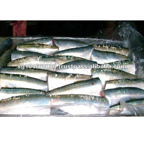 125g 50tins Cheap Price Canned Sardine Titus Fish in Vegetable Oil Body OEM Style Piece Packaging Pcs Weight Easy Sardines HGT