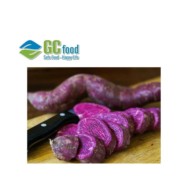 (GC Food) сладкий картофель (фиолетовый) Свежий Урожай 100% зрелой органический из натуральных овощей сделано в вьетнаме
