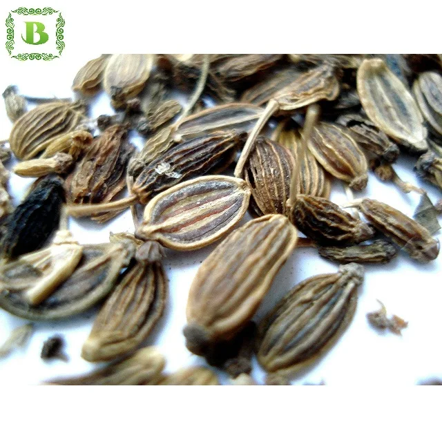 Organic Dill Seeds/high quality dill seeds