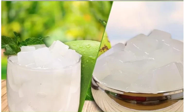  Дешевая цена NATA DE COCO/кокосовое желе из