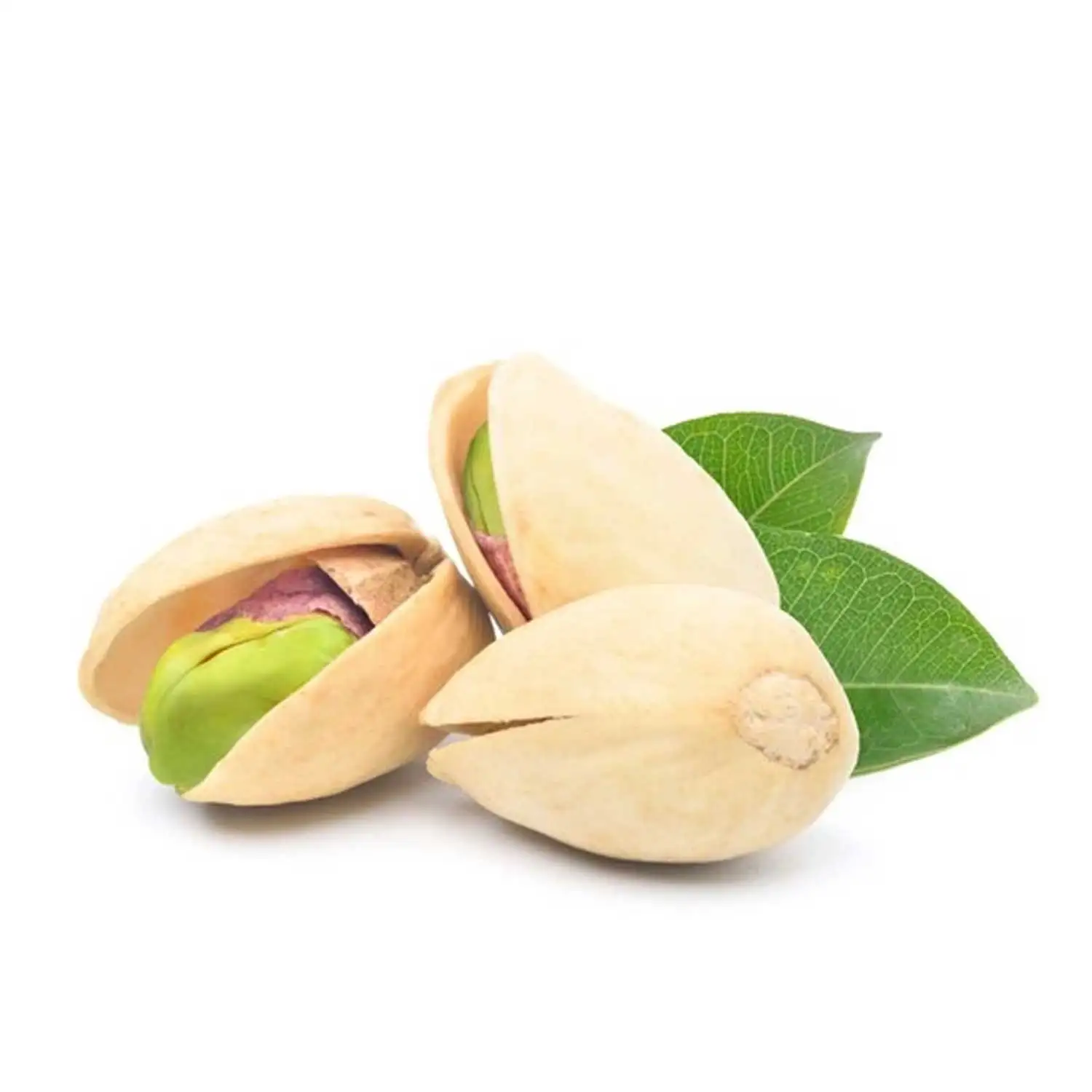 High quality pistachio nut dried pistachio nuts with salt pistachios for selling