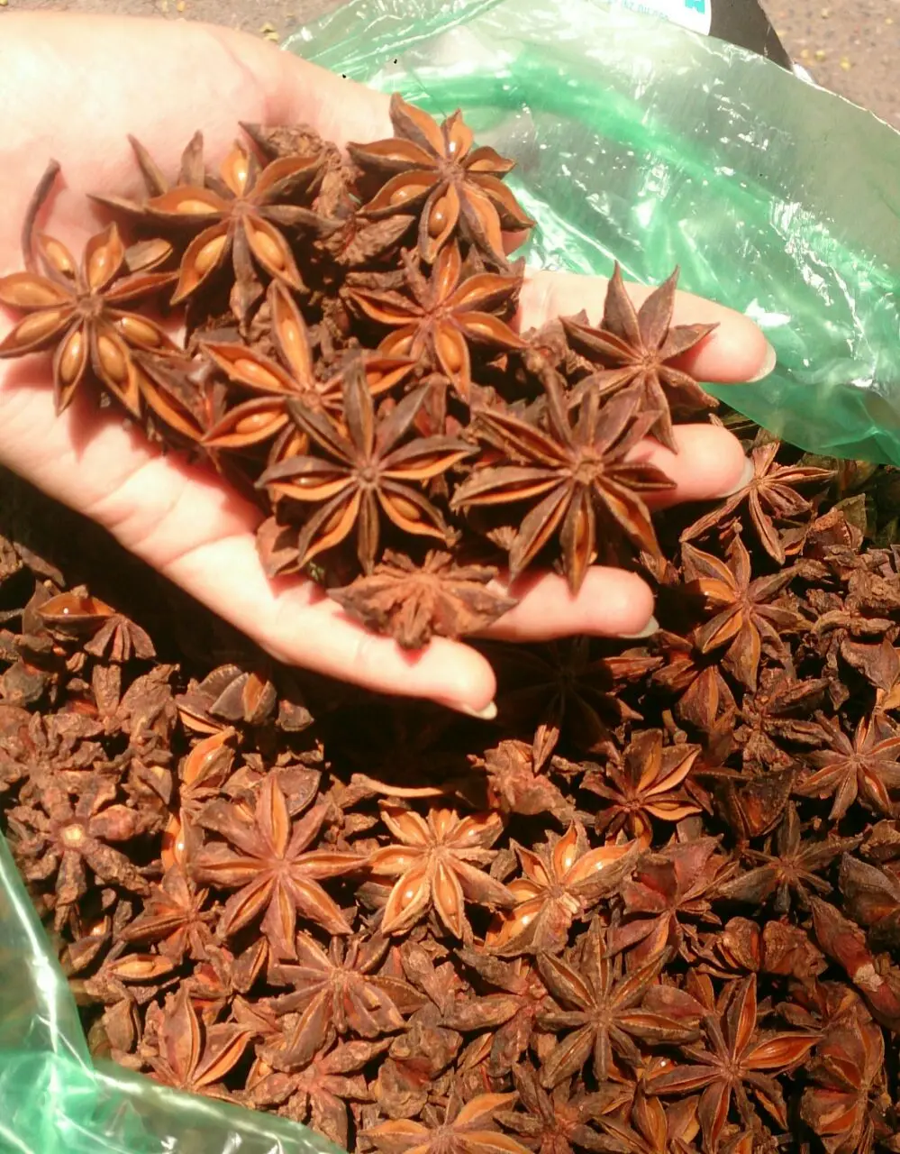 
Manual planting natural sun dried sulfur free Star Anise for seasoning used fresh spices harmless healthy meat food best partner 