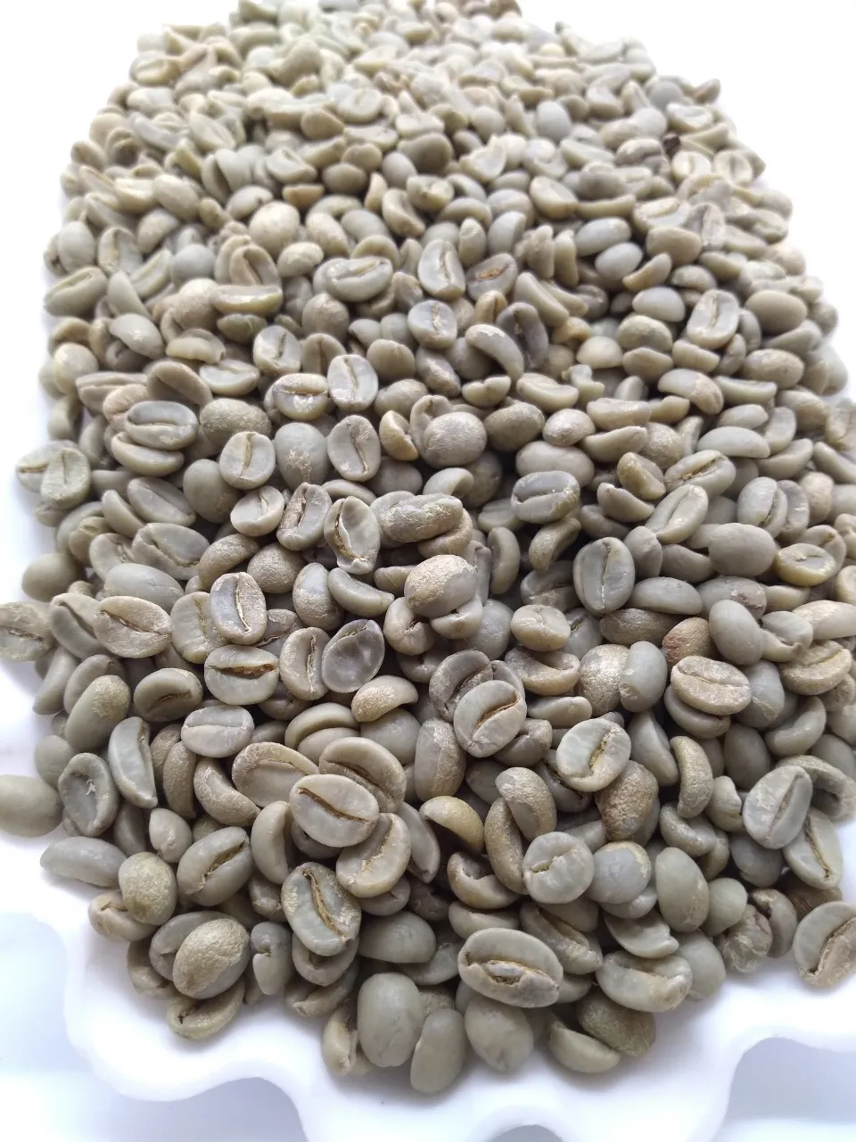 Заводская цена кофейные зерна жареные 100% Арабика вьетнамские зеленые кофе в зернах