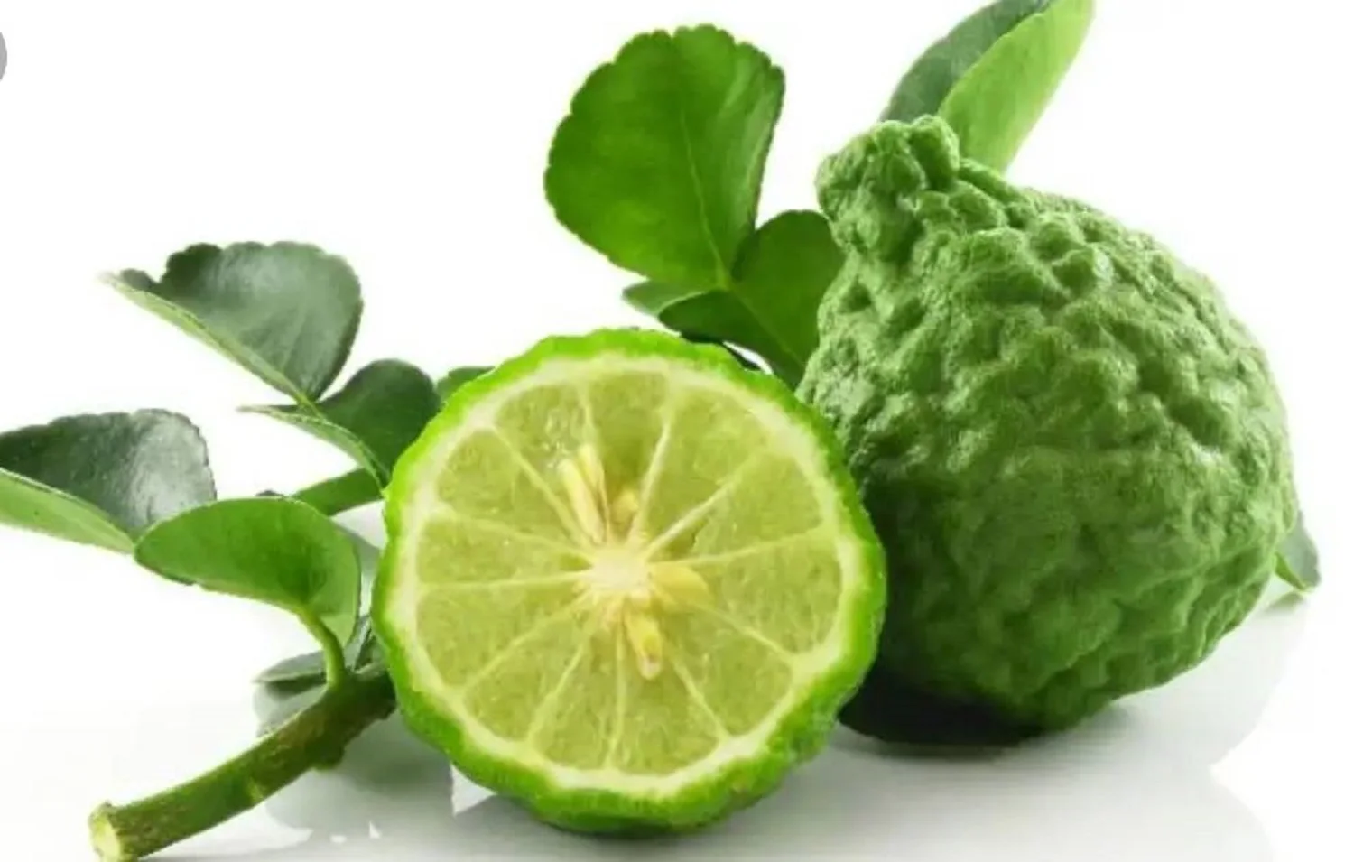 100% Kaffir Lime Leave Powder Premium Gourmet Ingredient for Thai Asian Cuisine Rich Green Color and Extremely Aromatic Premium