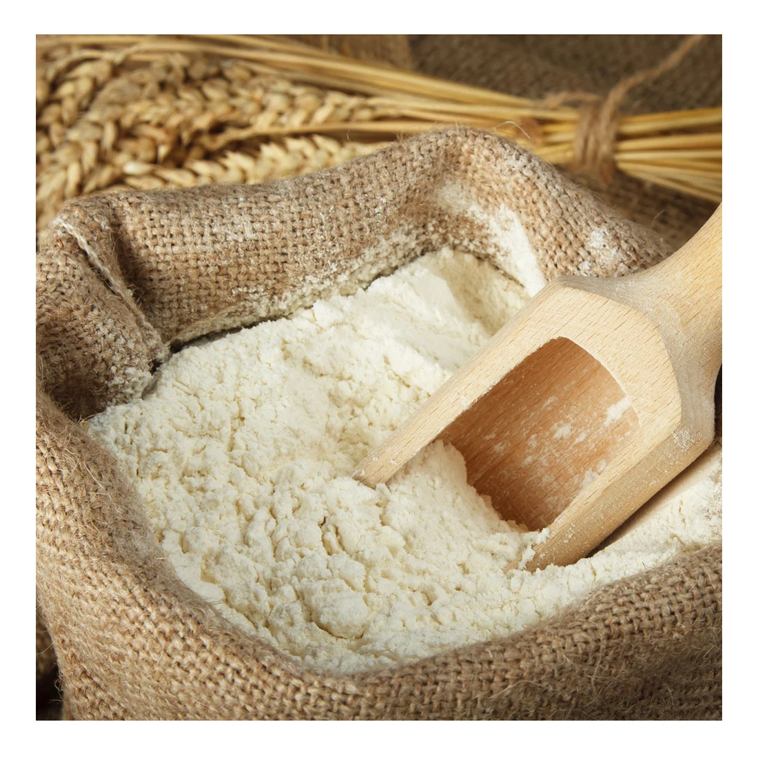 
High quality wheat flour for baking 1st grade, wheat 