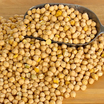 
Organic Chickpeas / Export Grade Best Selling 8mm 