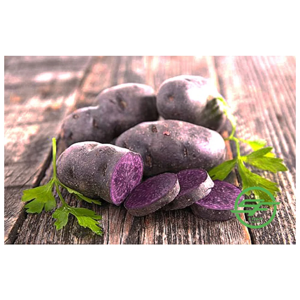 Высококачественный Экологически чистый фиолетовый свежий сладкий картофель из Вьетнама